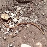 Quand Alix teste la V3