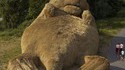 Marmotte en foin