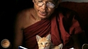 Les belles histoires de tonton Thiche
