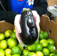 Face plante !
