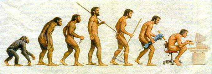 Evolution du singe à nous