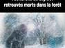 Une belle paire de ....