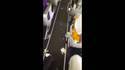 Avion un peu sale