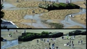 The Fallen 9000