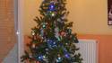 Sapin de Noël