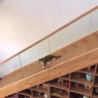 C’est exactement ce que je voulais pas faire 