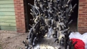 Une sorte de Game of Thrones