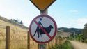 Zoophiles interdits