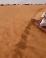 ♪ Ce reve bleu ♫