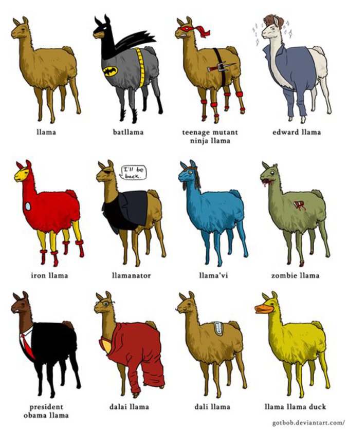 Beaucoup de lamas.