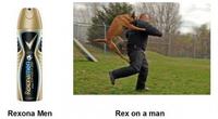Rexona men