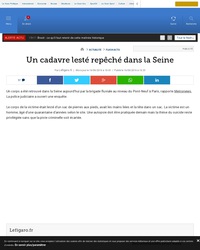 robert boulin, le retour