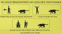 Contre un lion