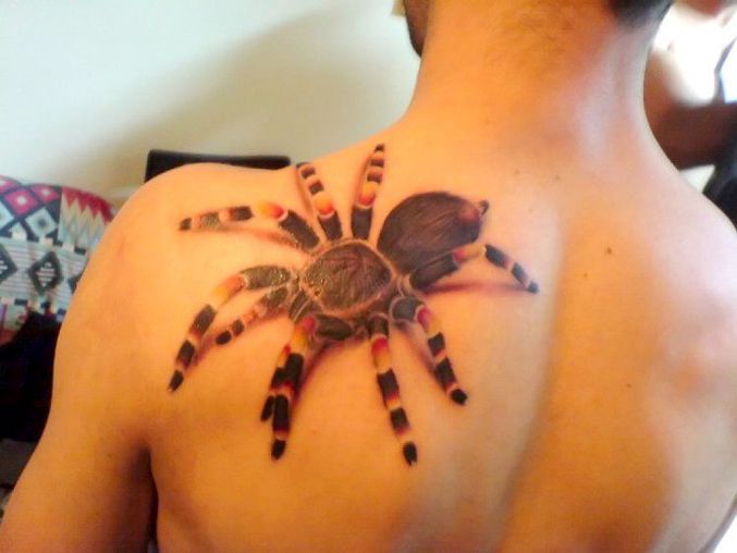 Un type s'est fait tatouer une mygale sur l'épaule.