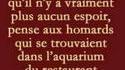 kan il reste un peu  d'espoir