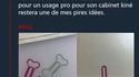 Coucou