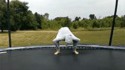 Sur un trampoline