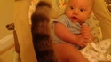 Un bébé et un chat