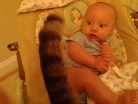 Un bébé et un chat