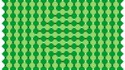 Illusion 17