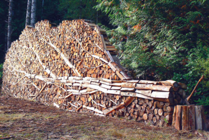 Des bûches qui forment un arbre.