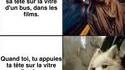 Des film à la réalité