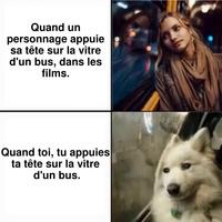 Des film à la réalité