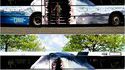Bus requin
