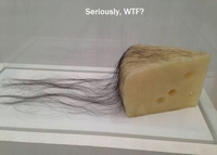 Le fromage du MFG