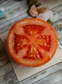Tomate croix de fer