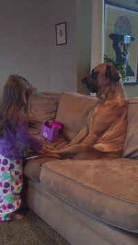 Future vétérinaire