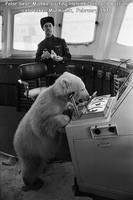 Le capitaine est un vrai ours