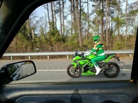 Le Ranger vert