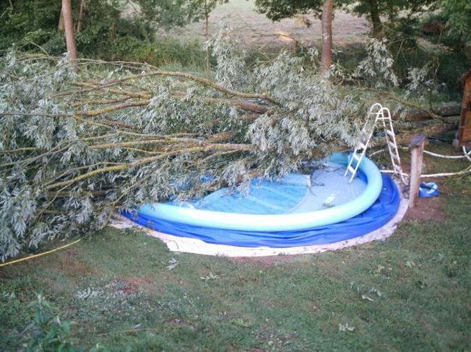 Un arbre tombé sur une piscine.