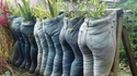 Des pantalons bien remplis 
