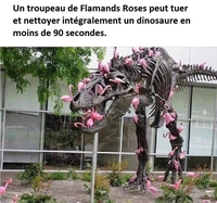 La Camargue est une zone dangereuse