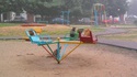 Chats au parc