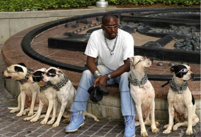 Un homme "cool" et ses chiens "cools".