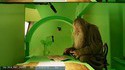 Le Hobbit (sans les effets spéciaux)