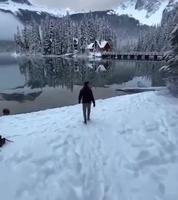 Lac Emerald