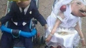 Mariage porcin.