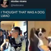 Le chien en arrière-plan...