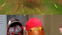 Une araignée imitant une fourmi