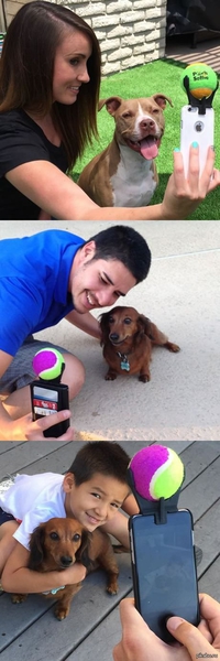 Accessoire pour selfie canin