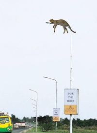 Pendant ce temps, à Nairobi...