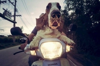 Emerson, ce pilote