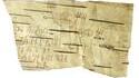 Dessin de 800 ans réalisé par un garçon de sept ans nommé Onfim qui vivait à Novgorod (Russie)
