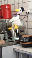 Commis de cuisine