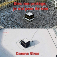 Coromecquevirus