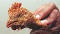 Kentucky Fried Chicken